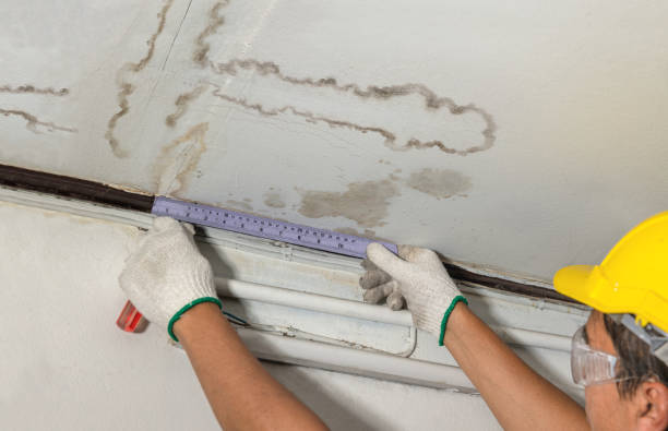 Reliable Burst Pipe Cleanup contractor in Centreville, VA by Water Damage Irwin